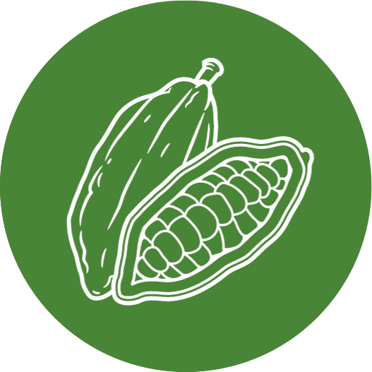 Via Verde Cacao Icon