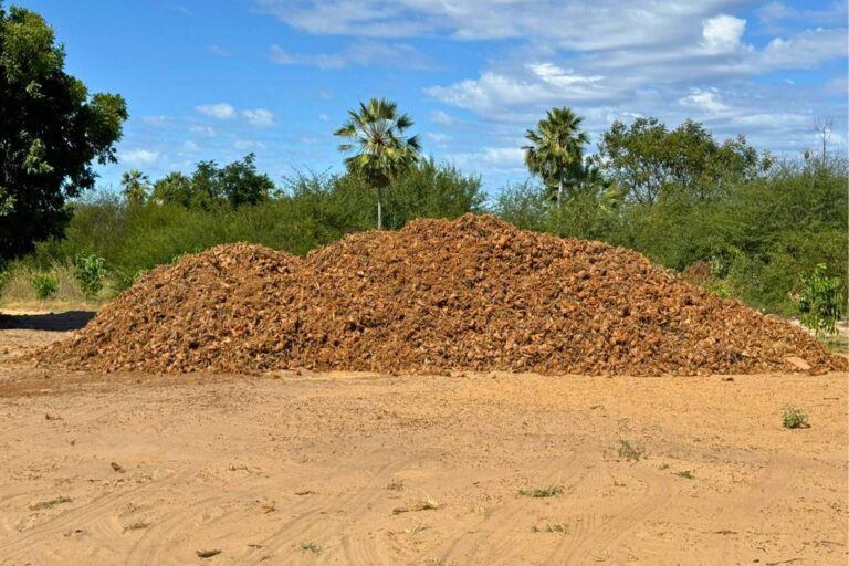 Pile of organic compost from coconut husks.